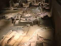 -洛阳周王城天子驾六博物馆