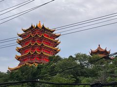 -黄鹤楼公园(黄鹤楼)