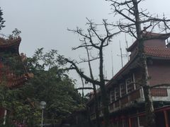 -宝莲禅寺