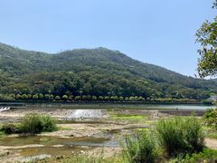 -龙江公园