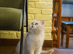 -雕刻时光·咖啡·酒吧·西餐(香山店)