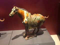 -辽宁省博物馆观众餐厅