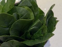 -千牛将·鲜牛肉火锅(开元路店)