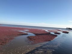 -红海滩国家风景廊道