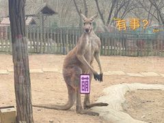 -大连森林动物园