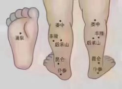 -香薇妮丝女子减肥院