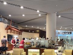 -虹桥机场国航贵宾室v8