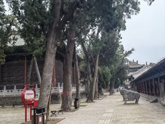 -关林