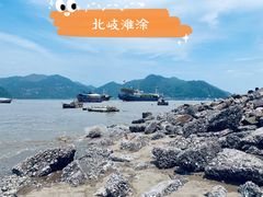 -北岐滩涂