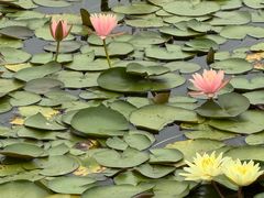 -白鹭湾湿地公园