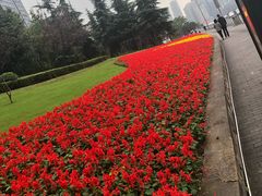 -重庆市江北嘴中央商务区中央公园