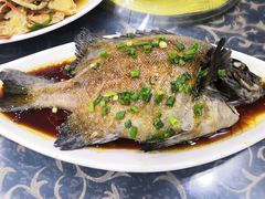清蒸海鱼-七鲜渔港美食餐厅(巽寮湾海景店)