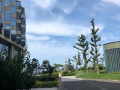 -金沙滩喜来登度假酒店-雅日本餐厅