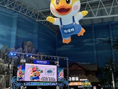 -青岛东方影都融创水世界