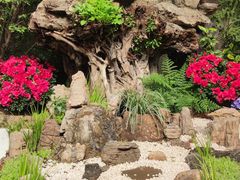 -石家庄市植物园