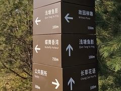 -东郊湿地公园