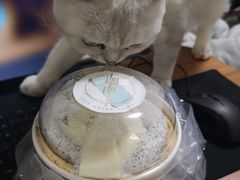 -迦南·甜品蛋糕(传媒店)