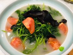 农场有机时蔬-庄隐阁(悠方广场店)