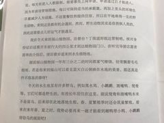 -西湖外事游船(湖滨二公园外事游船码头)