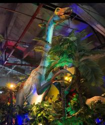 -恐龙探索乐园(磁器口店)