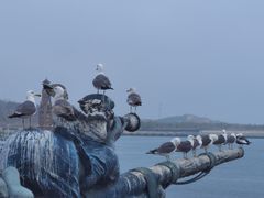 -大连老虎滩海洋公园