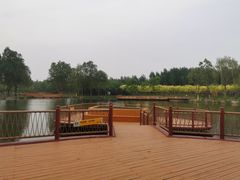 -东郊湿地公园