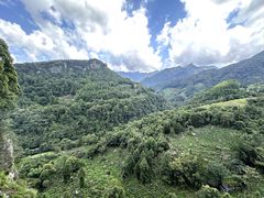-石台牯牛降景区
