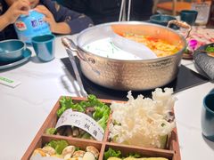 -椰子湾·海南火锅·糟粕醋·椰子鸡(正大广场店)