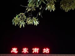 -惠东南站