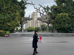 -禹州森林植物园