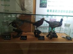 -西江苗族博物馆