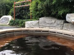 -大连金石滩绿发温泉假日酒店