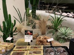 -OUR Bakery(SKP-S店)