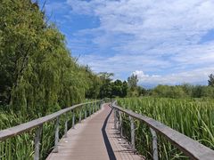 -西昌邛海湿地