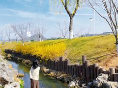 -羊山湖公园