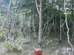 -东寨港红树林旅游区