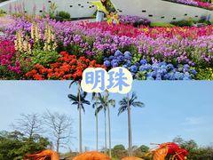 -广州市白云山风景名胜区