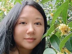 -金狮洞国家地质公园