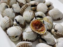 -华盛丰温州大排档(东三环南路店)