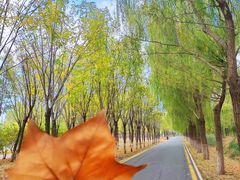 -星巴克(天津东江道香年广场店)