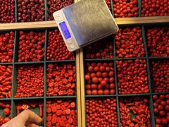 -潘家园(地铁站)