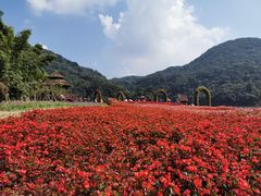 -广州市石门国家森林公园