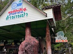 -绿光森林餐厅