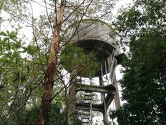 -火炉山森林公园