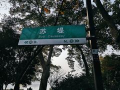 -苏堤停车场