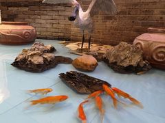 -北方家宴(番禺永旺店)