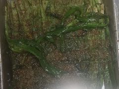 -古彭7只羊·招牌白串·碳锅羊肉旗舰店