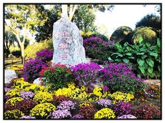 -燕郊植物园