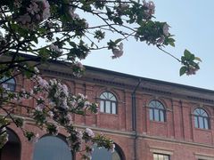 -天津意大利风情旅游区