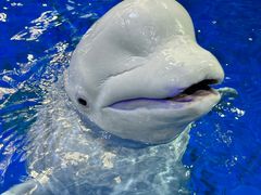 -石林冰雪海洋世界